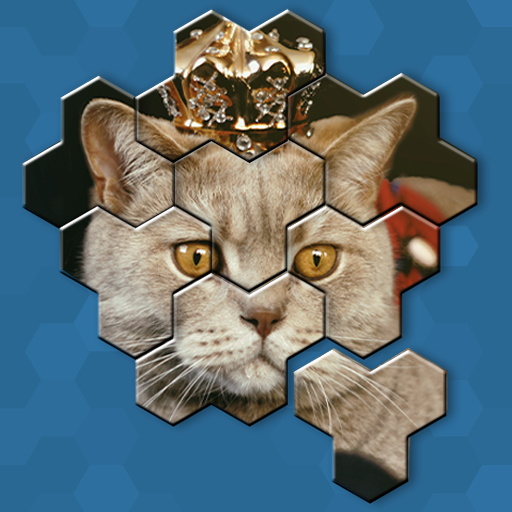 Hexa Puzzle Jigsaw: Anime Collection icon