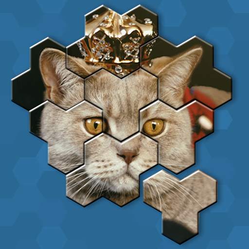 Hexa Puzzle Jigsaw: Anime Collection 1.23