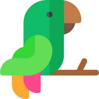 Dude Bird
