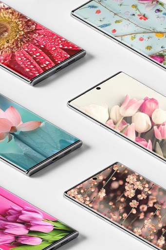 Flowers Wallpaper screenshot 2