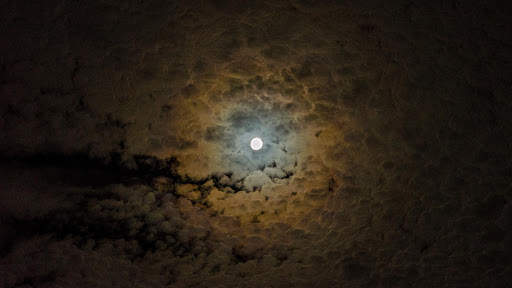 Moonlight Live Wallpaper : backgrounds hd screenshot 8