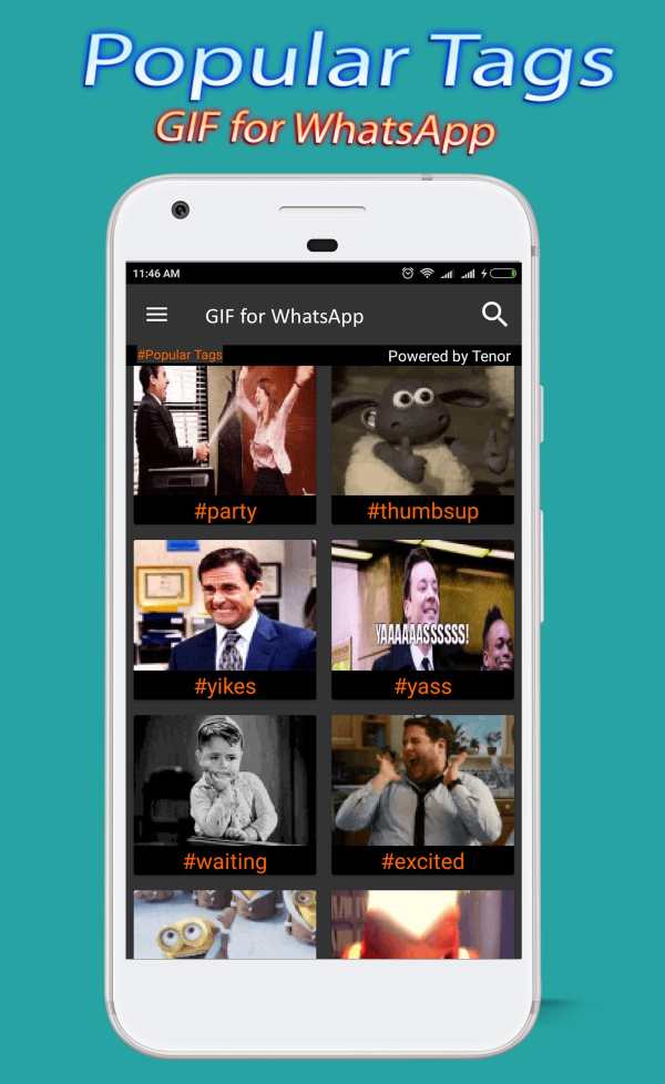 Funny GIF download 2018 screenshot 6