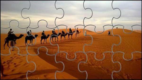 Camel Jigsaw Puzzles Game screenshot 1