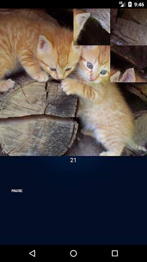 Animal jigsaw puzzle : free puzzle app for android screenshot 3