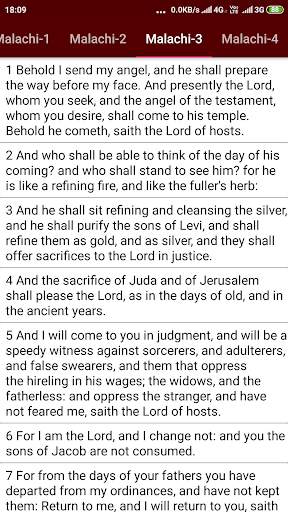 Holy Bible : King James Bible screenshot 4