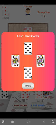 29 Card Game - untis Free screenshot 6