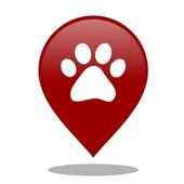 Live track my gps location icon