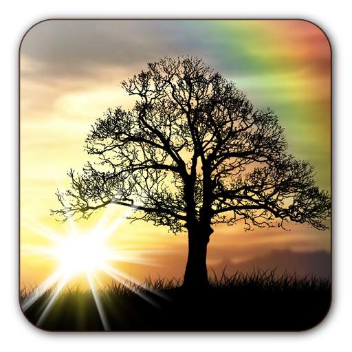 Sun Rise Free Live Wallpaper 4.8.3