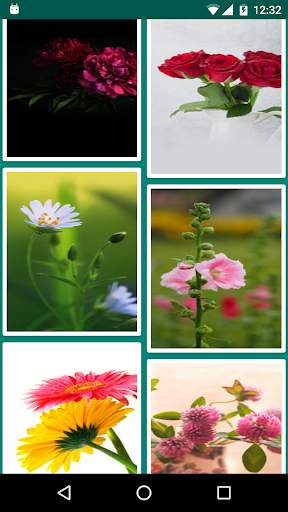 HD Flowers Live Wallpaper screenshot 5