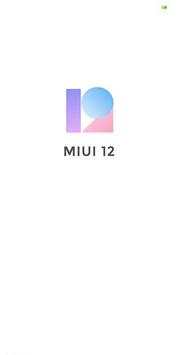 MIUI 12 Downloader screenshot 2