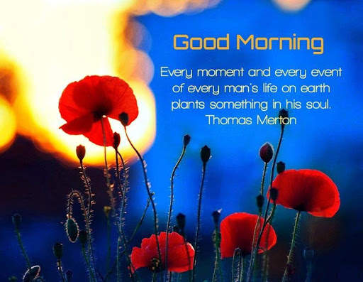 Good Morning images With Quotes screenshot 8