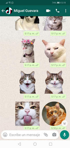 New Funny Cat Stickers For WhatsApp WAStickerApps screenshot 1
