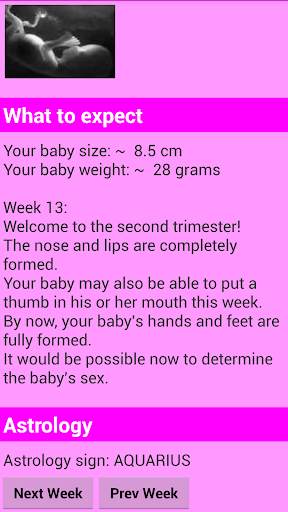 Pregnancy calculator screenshot 3