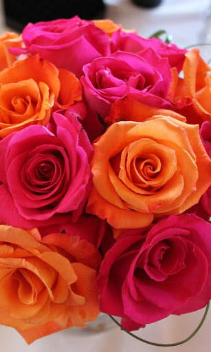Rosa Live Wallpaper screenshot 4