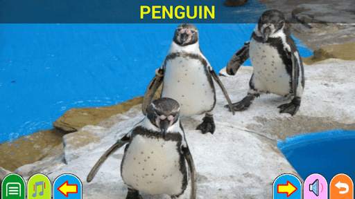 Animals Puzzle Games screenshot 2