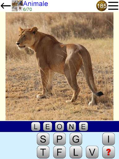 Quiz Quadro screenshot 17