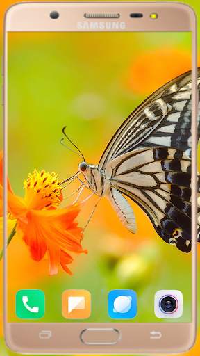 Butterfly Wallpaper Best HD screenshot 6