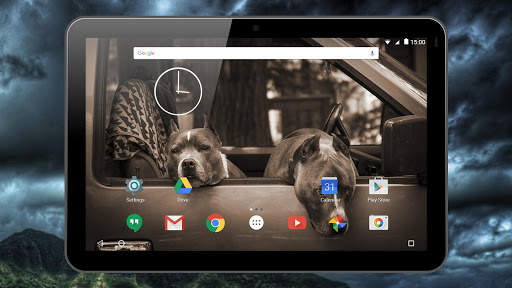 Fighting Dogs Live Wallpaper screenshot 13