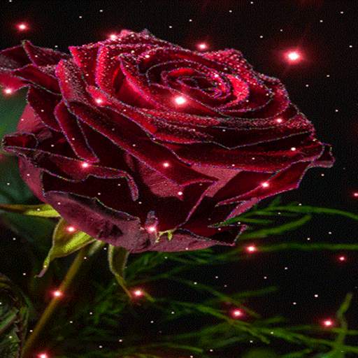 Magical Rose Live Wallpaper 3