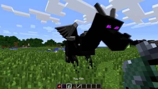 Dragon Mod for MCPE screenshot 3