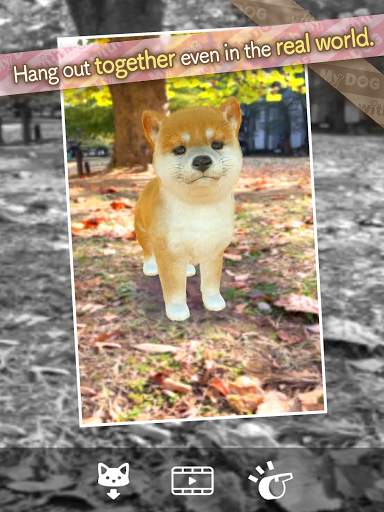 with My DOG screenshot 16