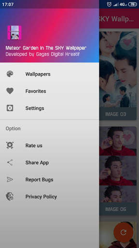 New Meteor Garden In The SKY Wallpaper screenshot 4