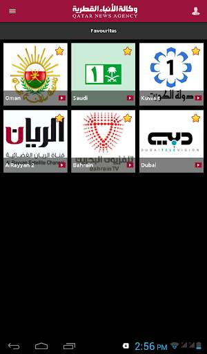 QNA TV screenshot 8