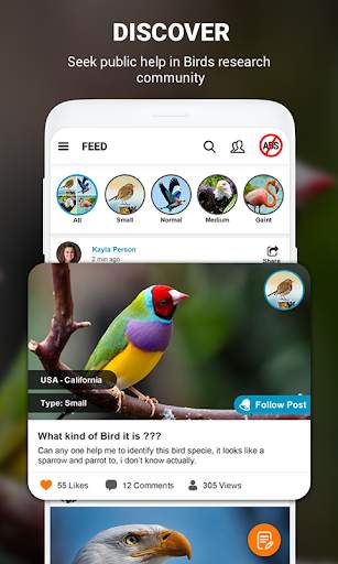 Birds Identifier App by Photo, Bird ID Camera 2020 screenshot 8