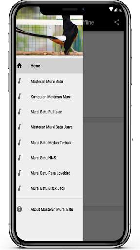 Masteran Murai Batu Offline Terlengkap 3 تصوير الشاشة