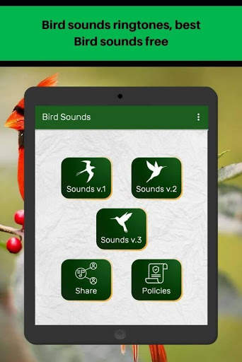 Bird sounds ringtones, best Bird sounds free screenshot 6