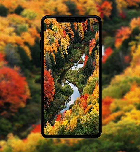 Autumn Wallpaper & Background screenshot 5