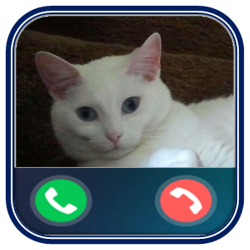Talking Cat - Fake video call أيقونة