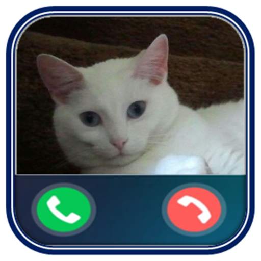 Talking Cat - Fake video call screenshot 1