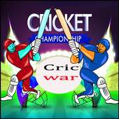cricket night scote 1.0