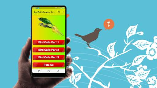 Bird call sounds and ringtones free screenshot 1