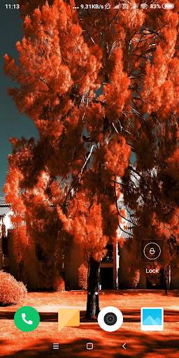 Autumn Wallpaper screenshot 6