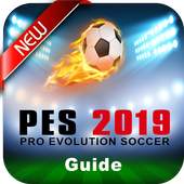 Guide for PES 2018-2019 1.0