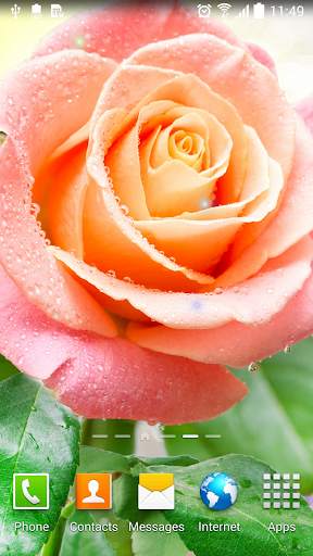 Rose Live Wallpaper screenshot 6