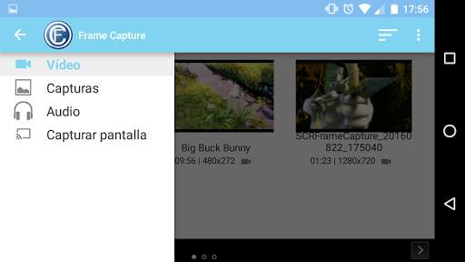 Frame Capture screenshot 3
