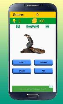 Animals and Birds Quiz screenshot 4