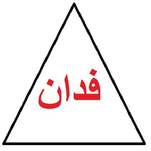 فدان : قيراط : سهم 41