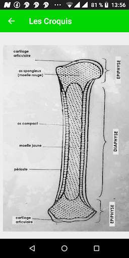 BEPC App : SVT 3ème, cours, maladies et exercices screenshot 6