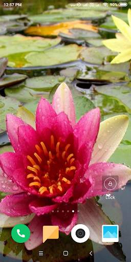 Lotus Wallpaper screenshot 3