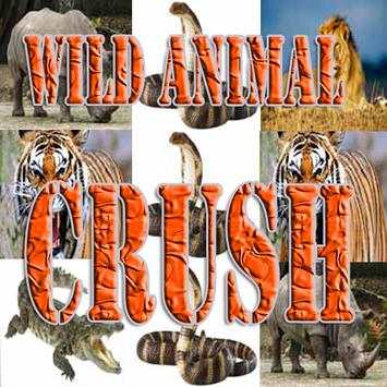 Wild Animal Crush screenshot 1