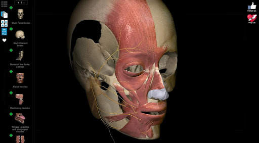 Anatomy Learning - 3D Anatomy Atlas screenshot 8