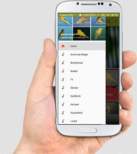 TERAPI KENARI F1 MASTER screenshot 1