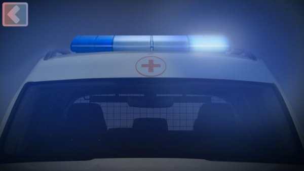 Pursuit: Police Siren screenshot 5