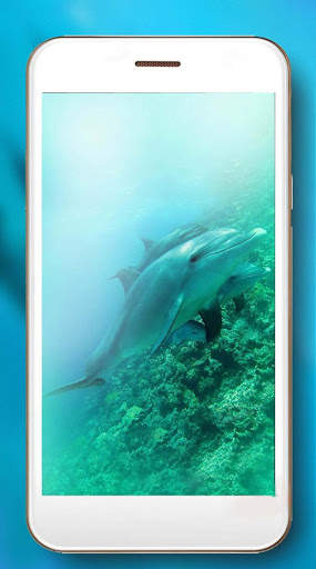 Dolphins Sounds Live Wallpaper screenshot 3