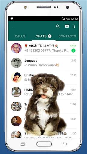 Cute Dog in Phone Funny walks screenshot 2