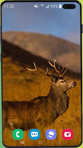Deer Wallpaper HD screenshot 11